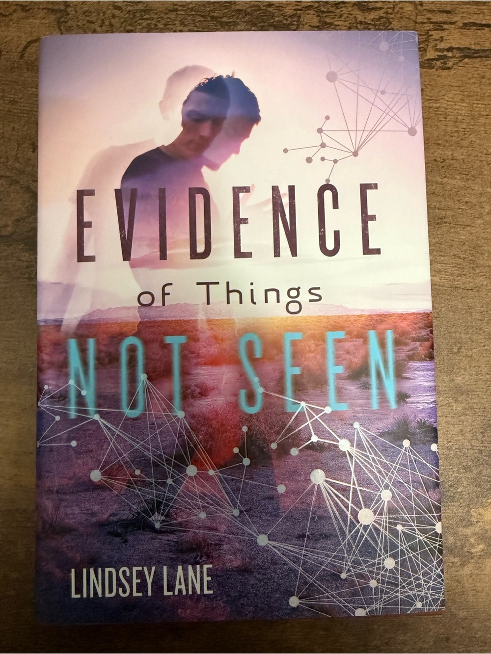 💚4/$20 Evidence of Things Not Seen by Lindsey Lane - Hardcover Novel